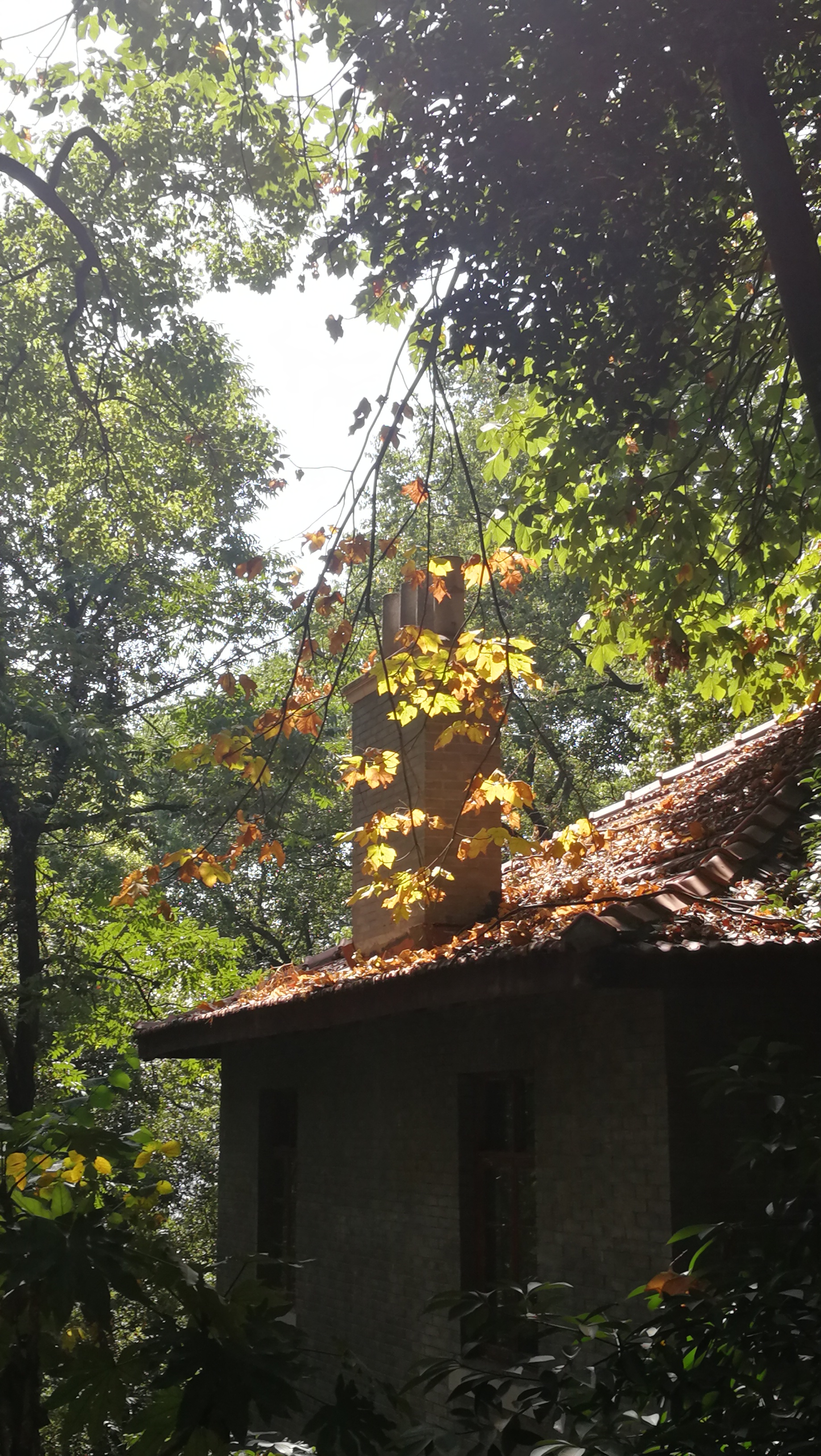 A House in LuoJia Mount, Pic by Haulyn5